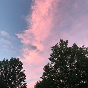 Meet your Posher, Mandi